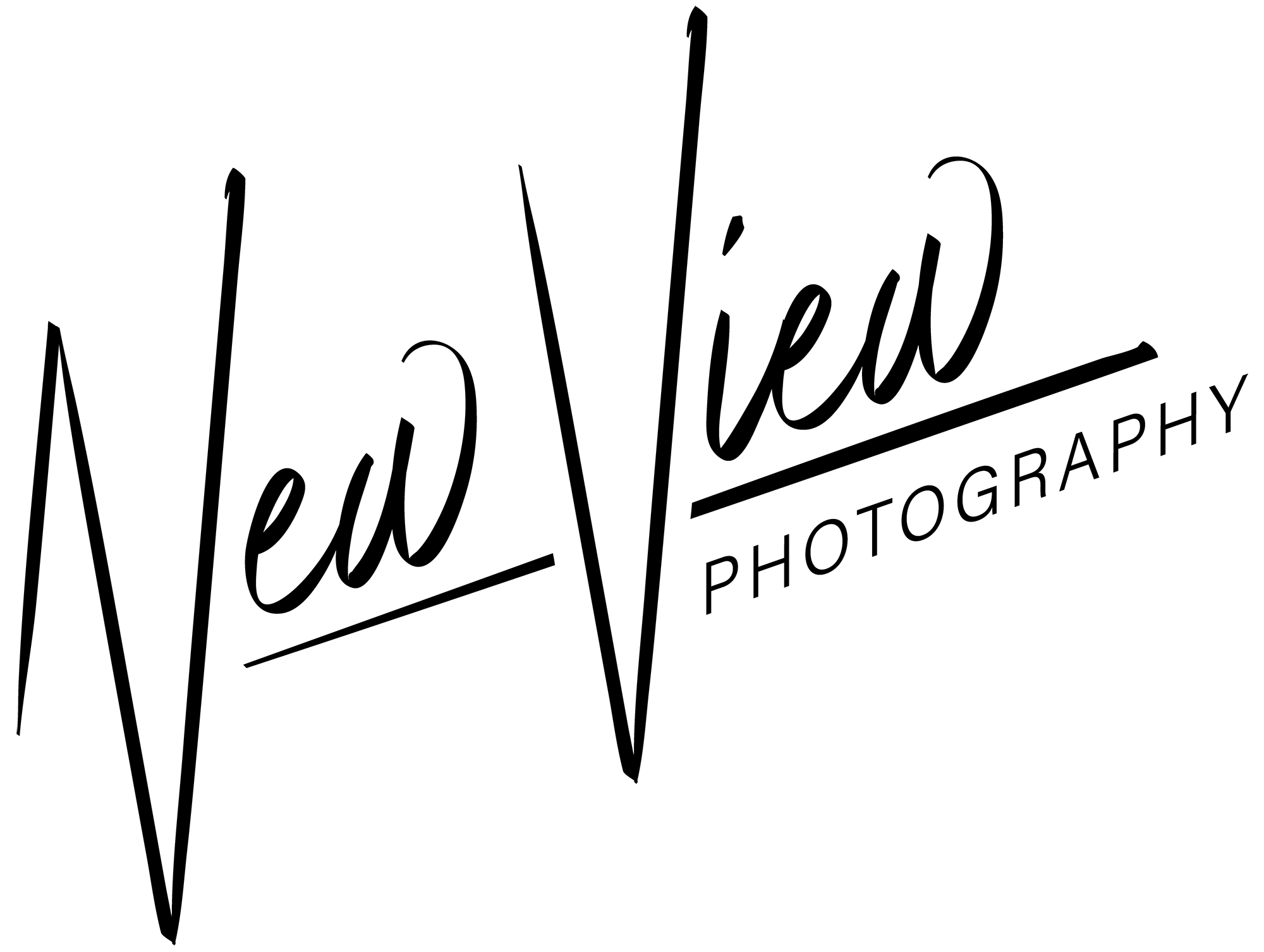 NVP Logo Signature
